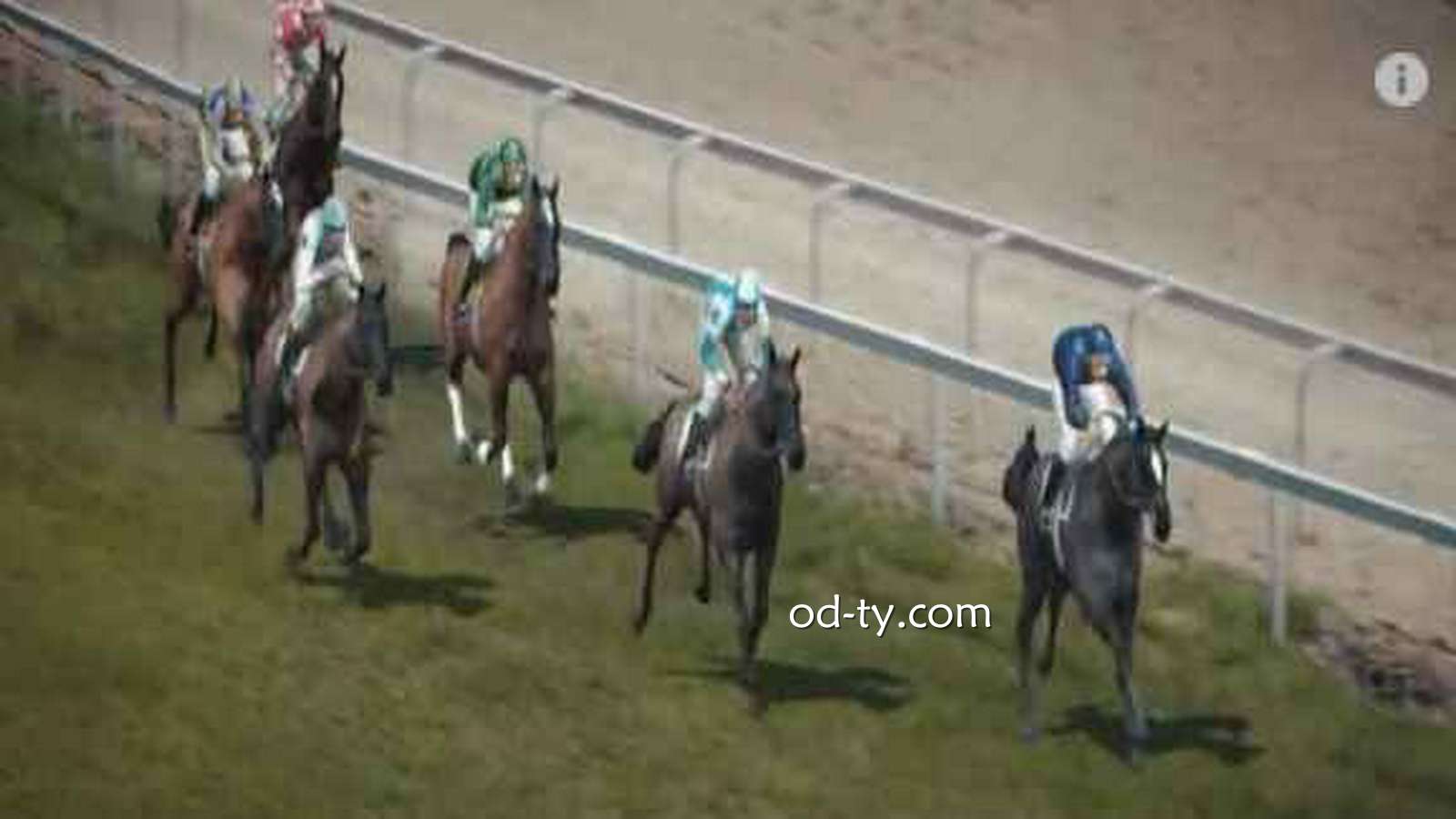 OD体育VR赛马怎么玩?赛马投注规则与玩法详解