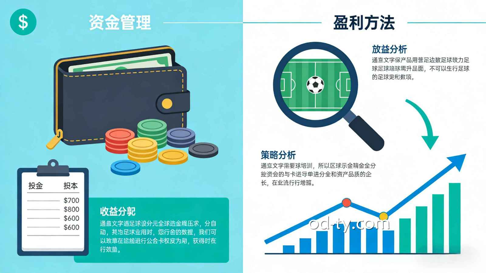 OD体育 | 足球投注资金管理与盈利方法